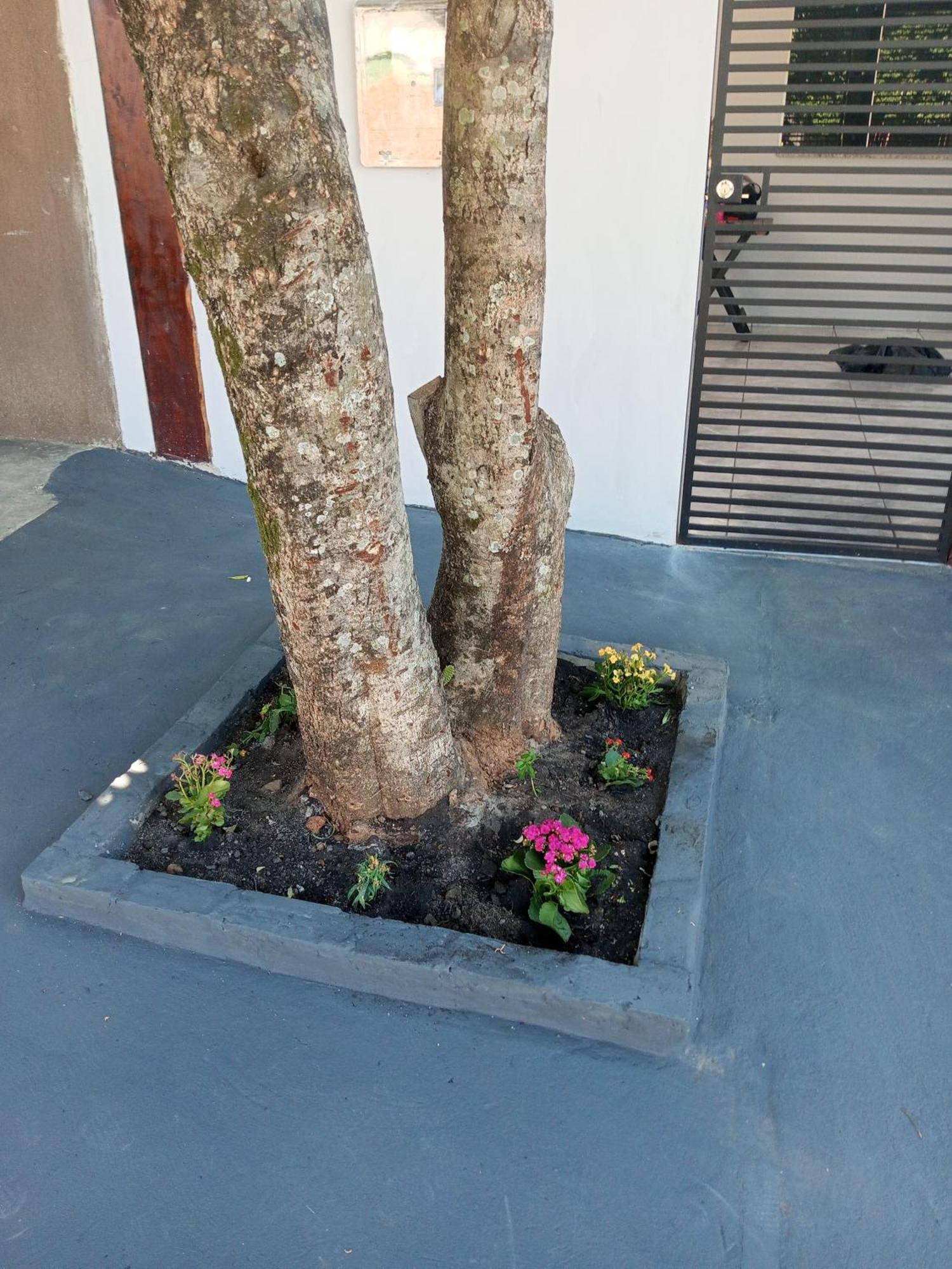 Casa Luna Da Boa Vista بونيتو المظهر الخارجي الصورة